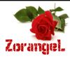 zory1811