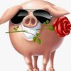 user49017099878804