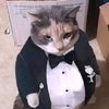 mister.fancy