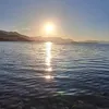chofi_770