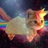 hardcoremeowing