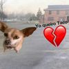 los_12_