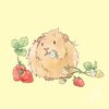 whimsycavies