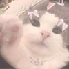 brook_girl1234567890