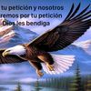 camalion.pedro.mu