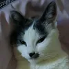 antonmrpl
