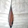 user7504636108034eliana
