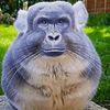 goofiest_king