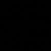 sncr1903