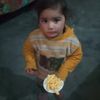 fayazkhan0696