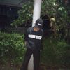 beldek.duarr0