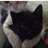 ilovemymom1.2.3.4