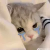 chaomayphen666