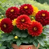 jaswinder.kalra7