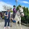 nigel.mckee0
