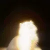zazazaaaaaaa000