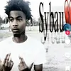 dsyb46