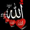 user1193091974915