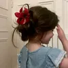 koka_h3