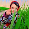 asfandyar.khan9495