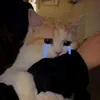 nestzxy