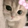 vdhel.jane.m..pas