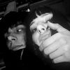 5liff