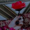 ꧁༺❣️میری دنیا پردیس میں❣️༻꧂