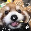 randa_573