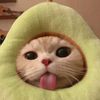 dhiajannah92