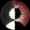 loralore8