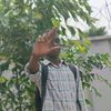 rabinopambu