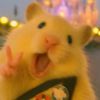bunniess_opll