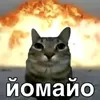 oktavius_pirate