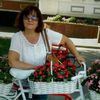 vera.tertys