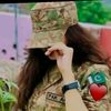 army.ladybug