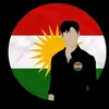 anas.dlshad11