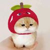 user151831231