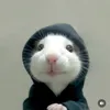 withneuih_