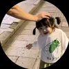 tom_pomcutedayyy