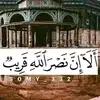 user455183444