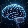 zap.quiz_