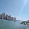 saher.fawzy3