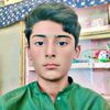alihassandahri36king