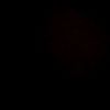 human010160