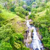 pradeepnilanka935