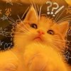 gatito4313