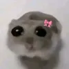 isabellyfnj