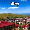 mulu66622