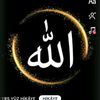 aynur131313